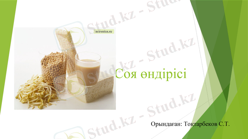Slide 1