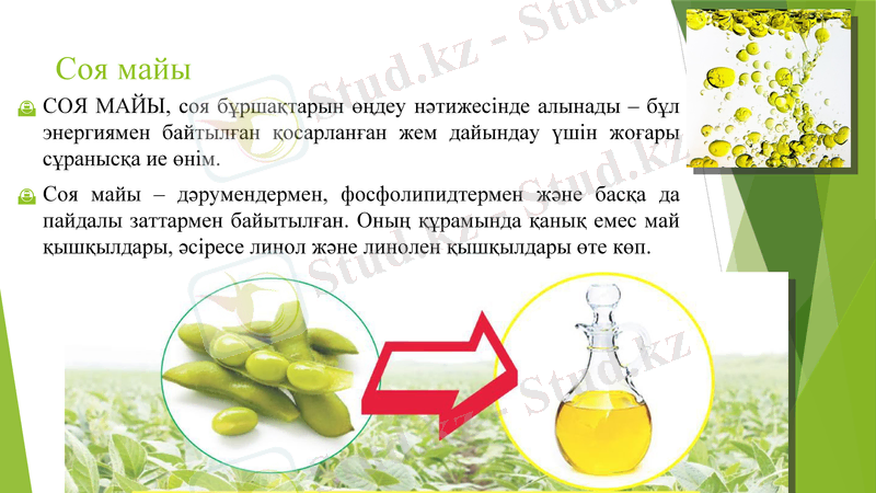 Slide 6