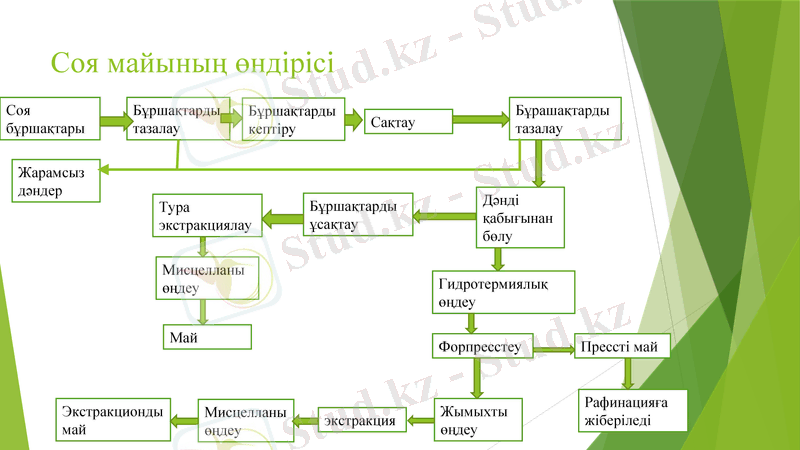 Slide 7