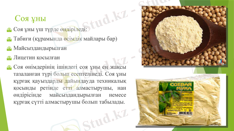 Slide 8