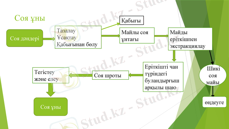 Slide 9
