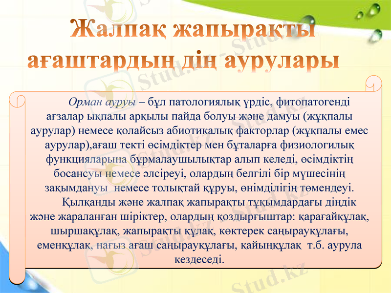 Slide 12