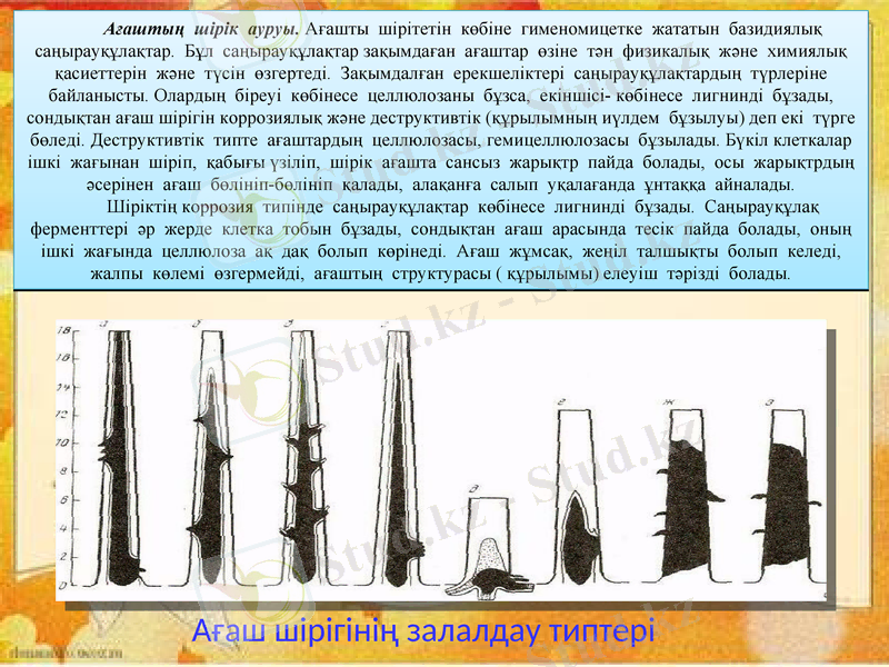 Slide 13