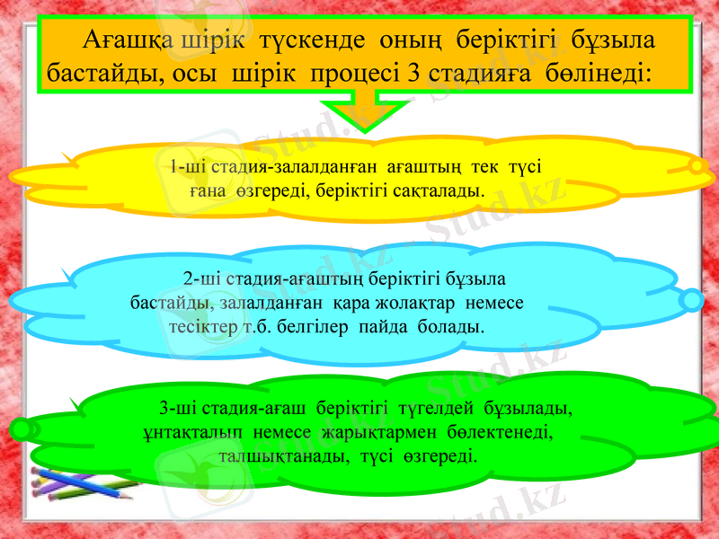 Slide 14