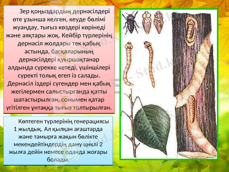 Slide 5
