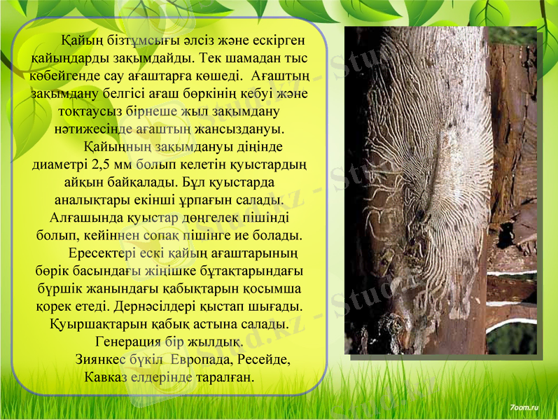 Slide 9