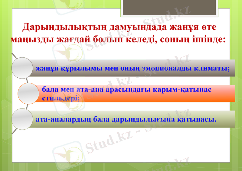 Slide 13
