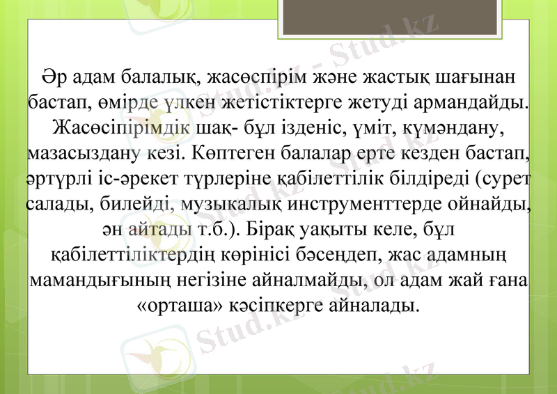 Slide 5
