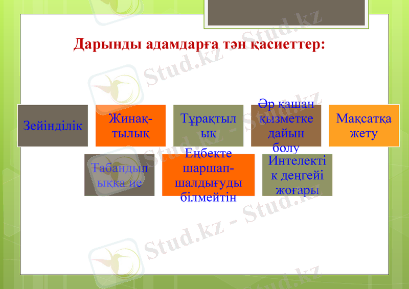 Slide 7