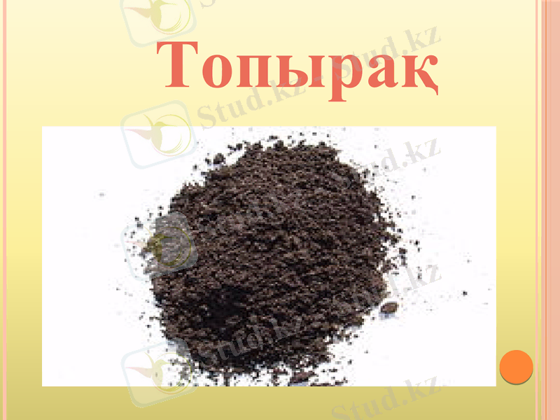 Slide 1