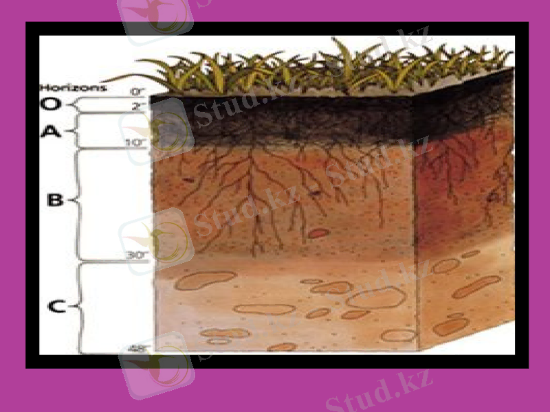 Slide 10
