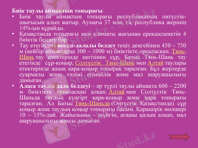 Slide 11