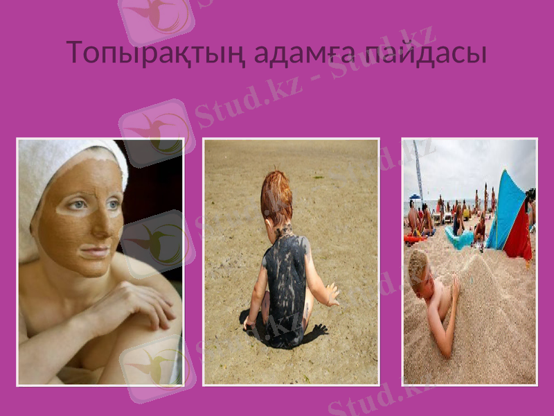 Slide 13
