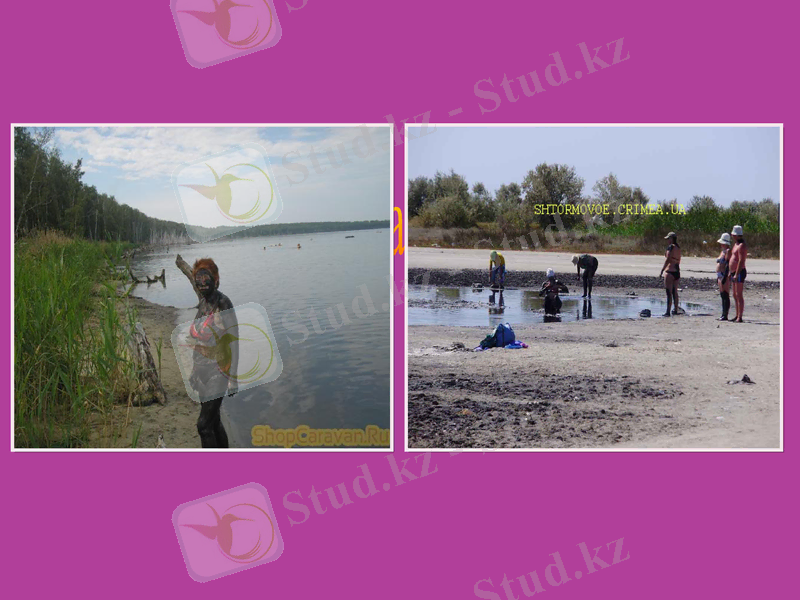 Slide 14
