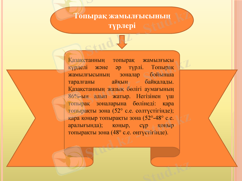 Slide 6
