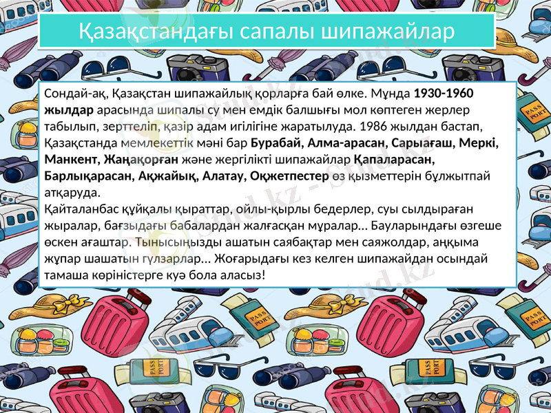 Slide 11