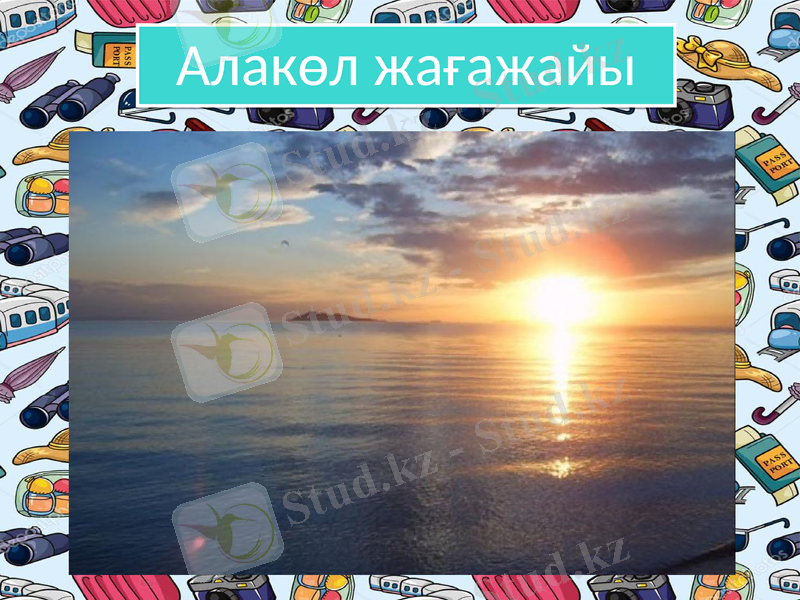 Slide 8
