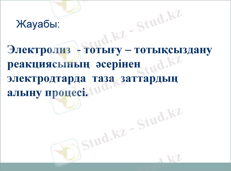 Slide 11
