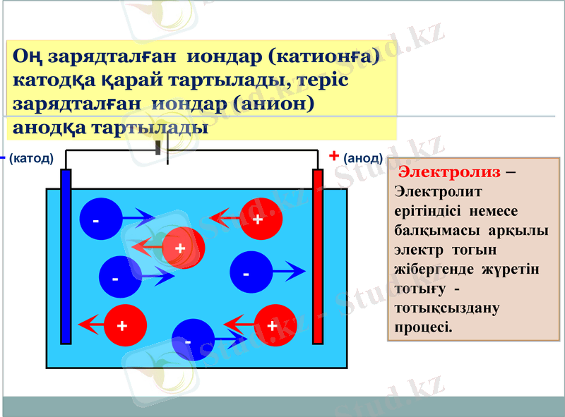Slide 7
