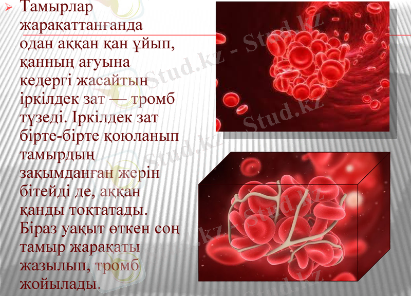 Slide 5