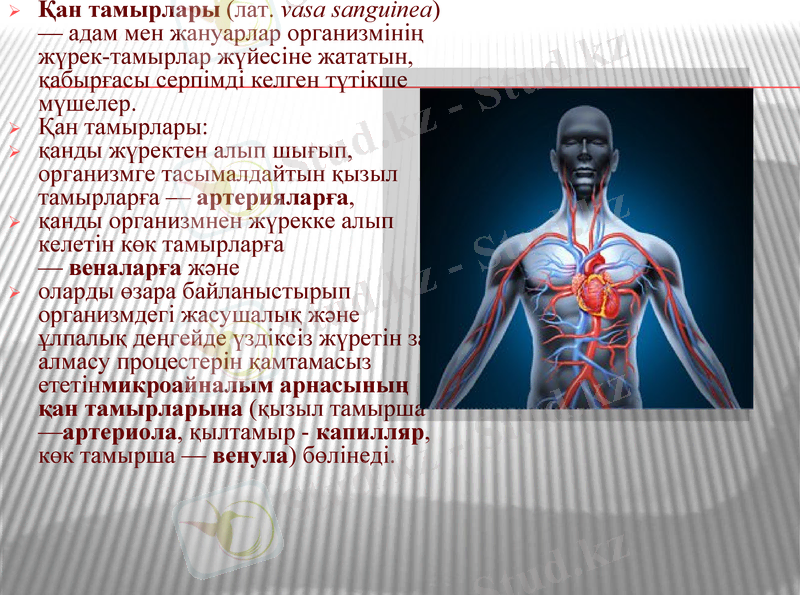 Slide 7