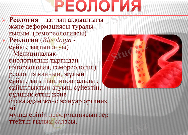 Slide 8