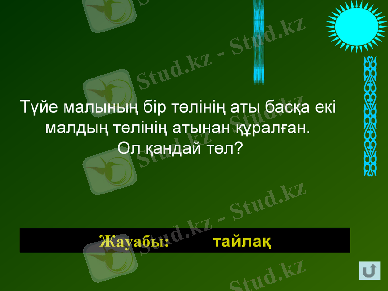Slide 11