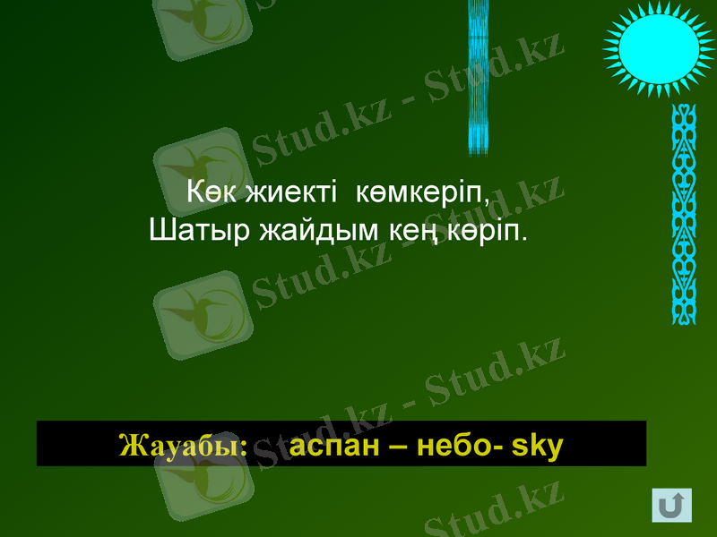 Slide 24