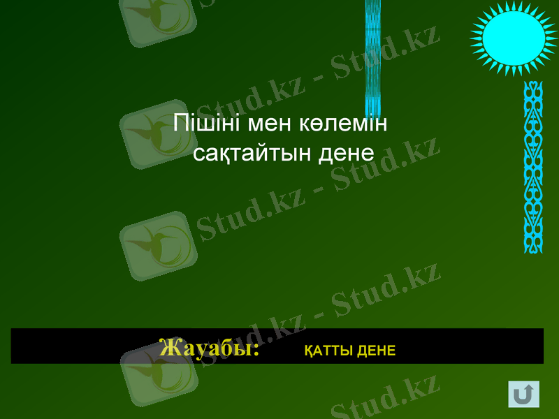 Slide 6