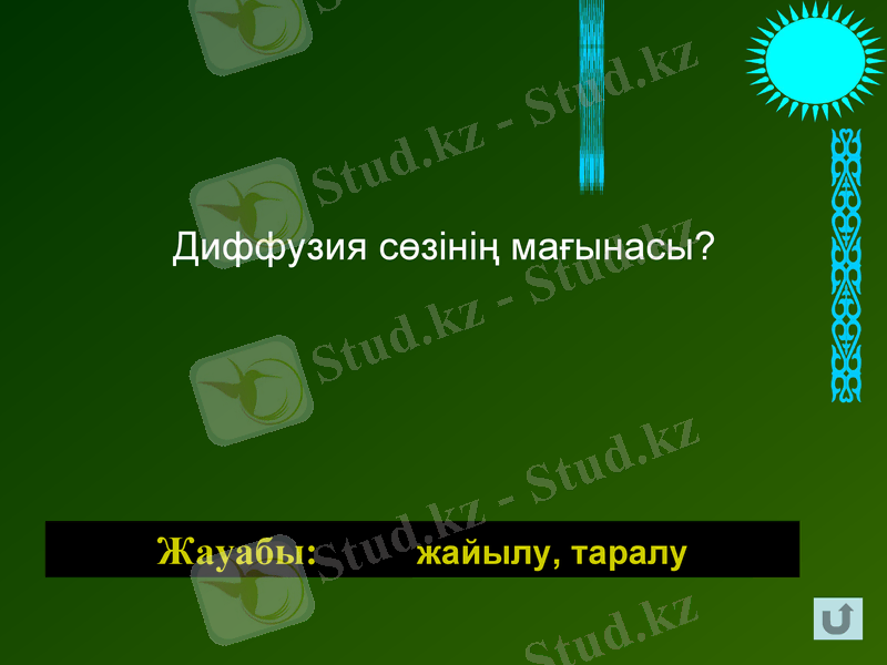 Slide 8