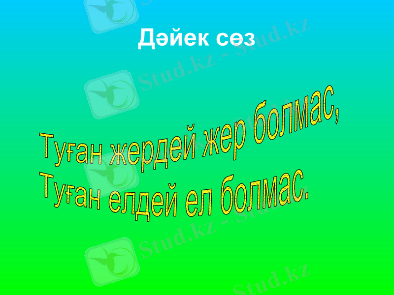 Slide 15