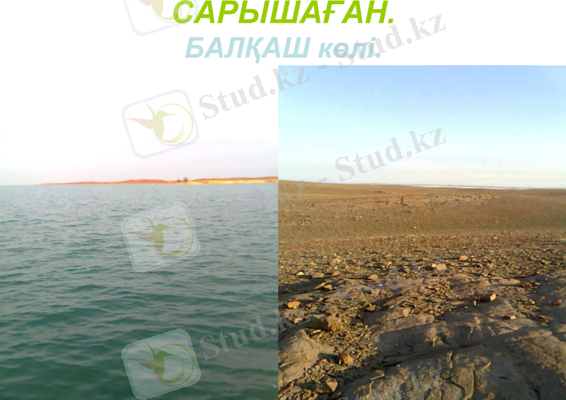 Slide 16