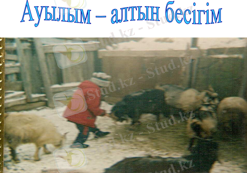 Slide 20