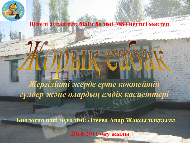 Slide 1