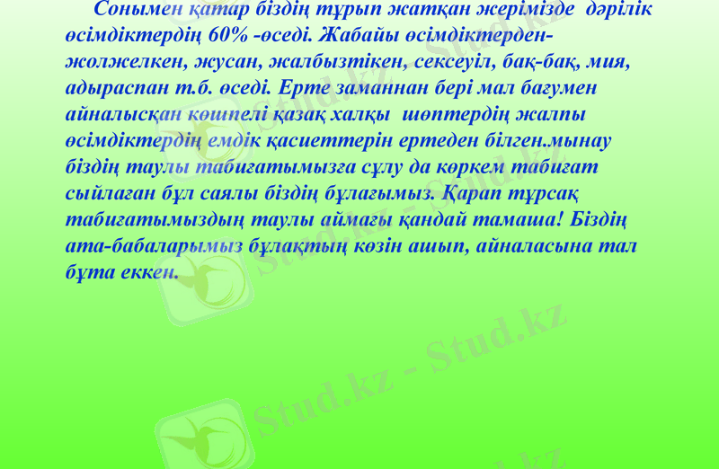 Slide 11