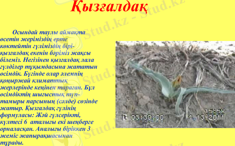 Slide 12