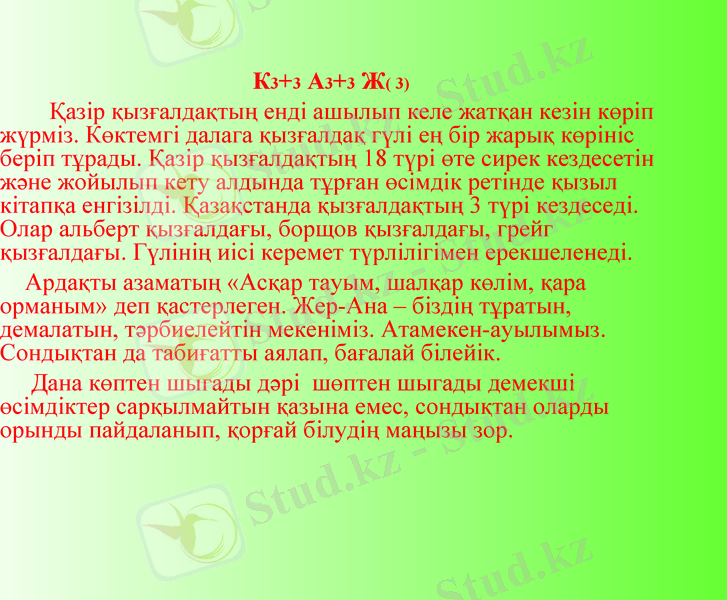Slide 13