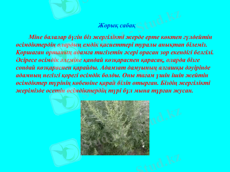 Slide 5