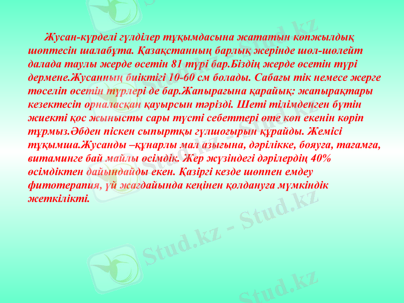 Slide 6