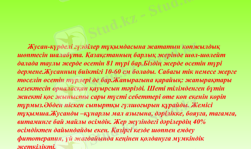 Slide 7