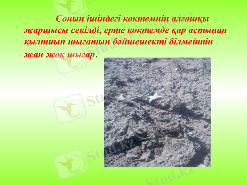 Slide 8