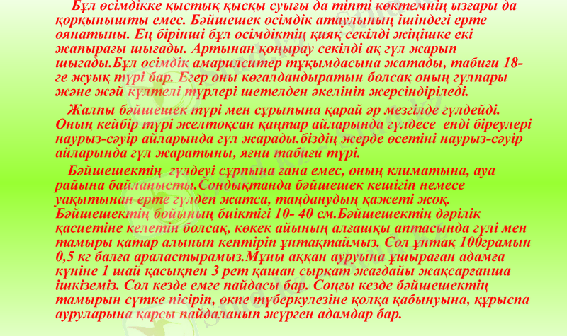 Slide 9