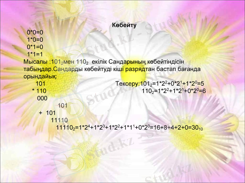 Slide 10