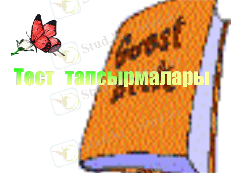 Slide 11