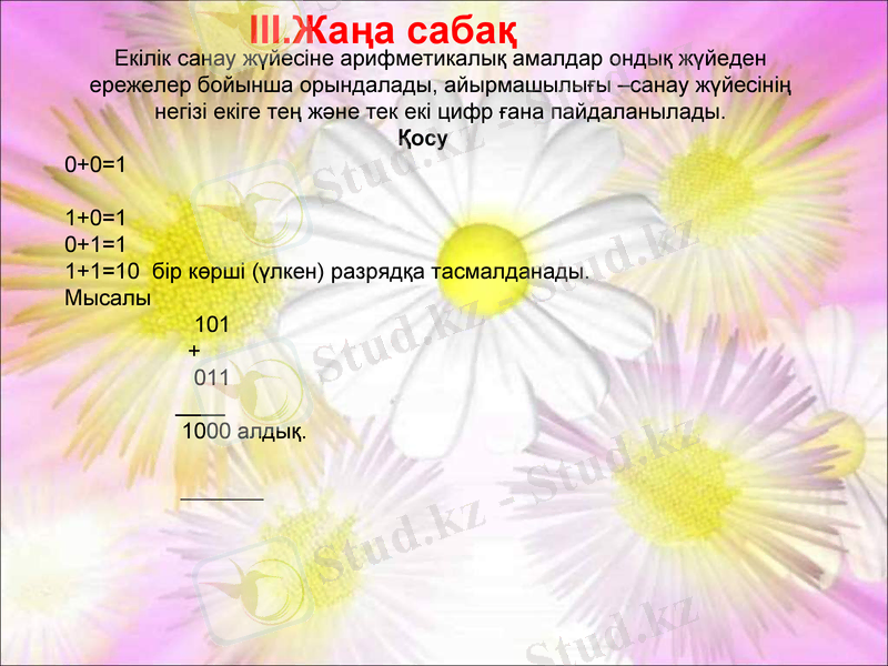 Slide 8