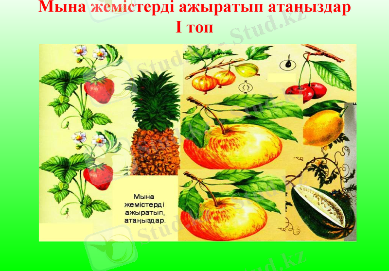 Slide 10