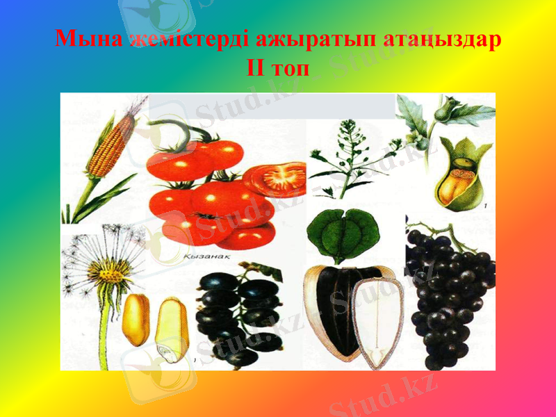 Slide 11