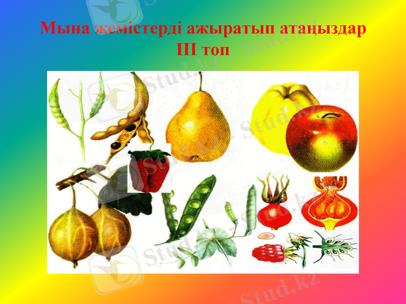Slide 12