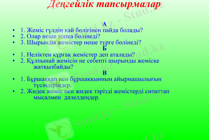 Slide 13