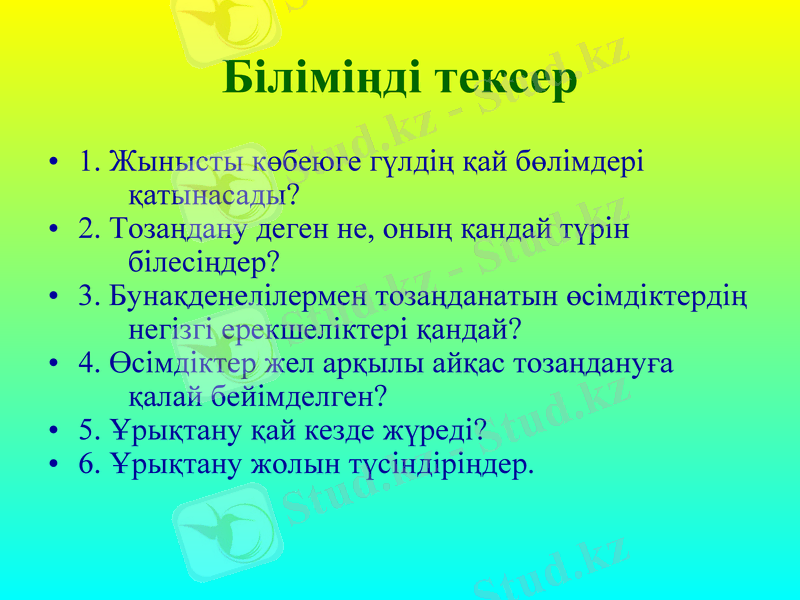 Slide 4